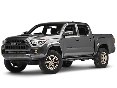 Tacoma collections