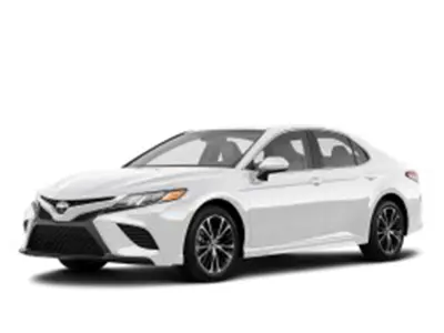 camry collections